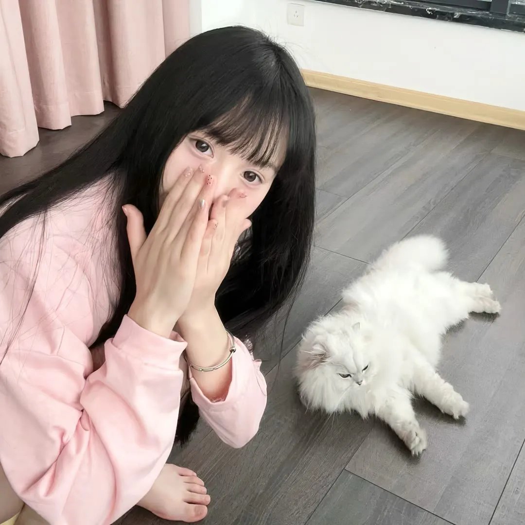 爱情公寓2